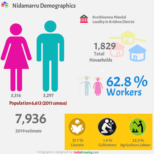 Nidamarru population 2019/2020