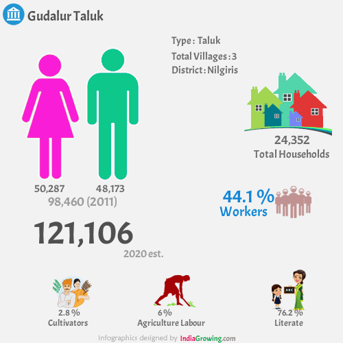 Gudalur population 2020