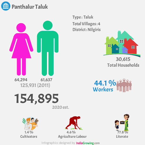 Panthalur population 2020